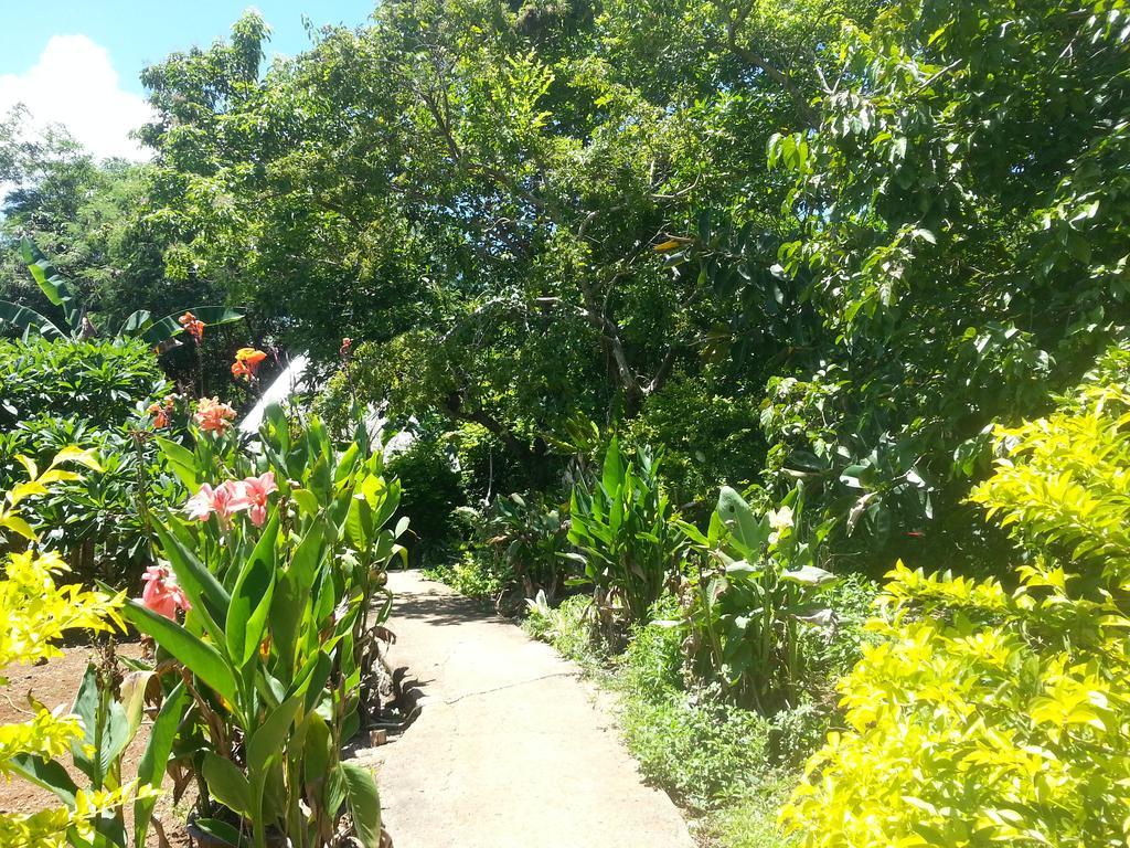 Villa Kim's Garden Anda  Exterior foto