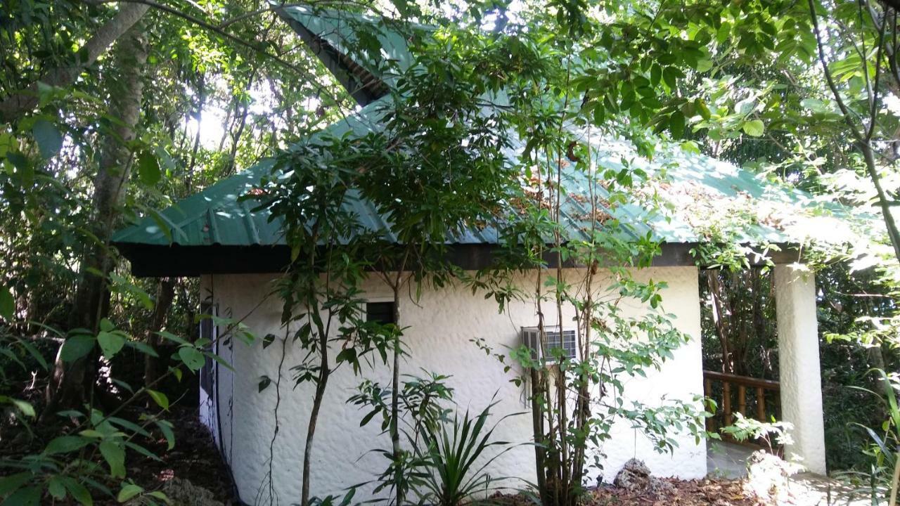 Villa Kim's Garden Anda  Exterior foto